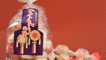 パーマリンク先: 取扱店